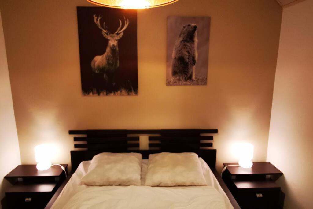 Le Picoulet : Appartement Tout Confort Coeur De Village อัลโลส ภายนอก รูปภาพ